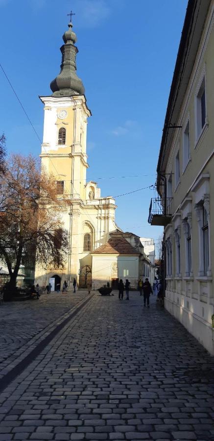 Piata Muzeului 1 Lejlighed Cluj-Napoca Eksteriør billede